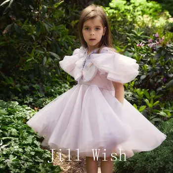 Jill Wish Луксозно розова рокля Duabi за момичета, принцесата-пеперуда, Детско сватбена рокля за рождения Ден, вечерна рокля за Св. Причастие 2024 J186